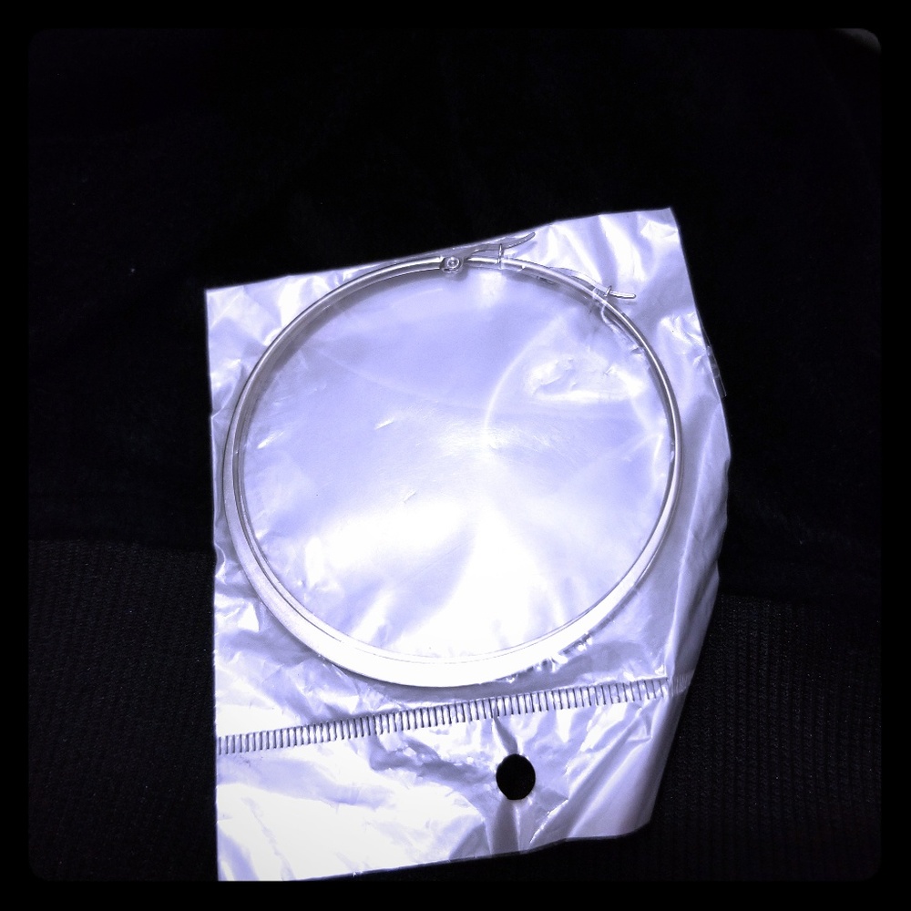 Silver Loop Earrings